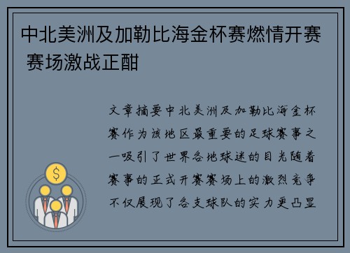 中北美洲及加勒比海金杯赛燃情开赛 赛场激战正酣